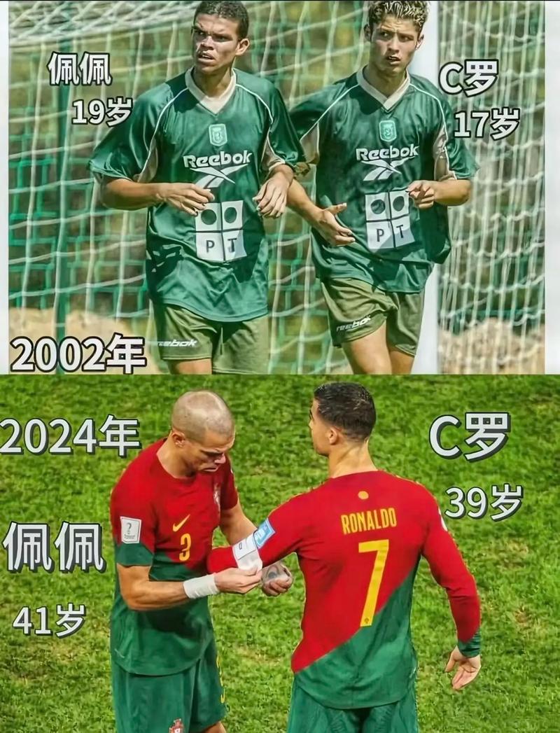 注和参与到