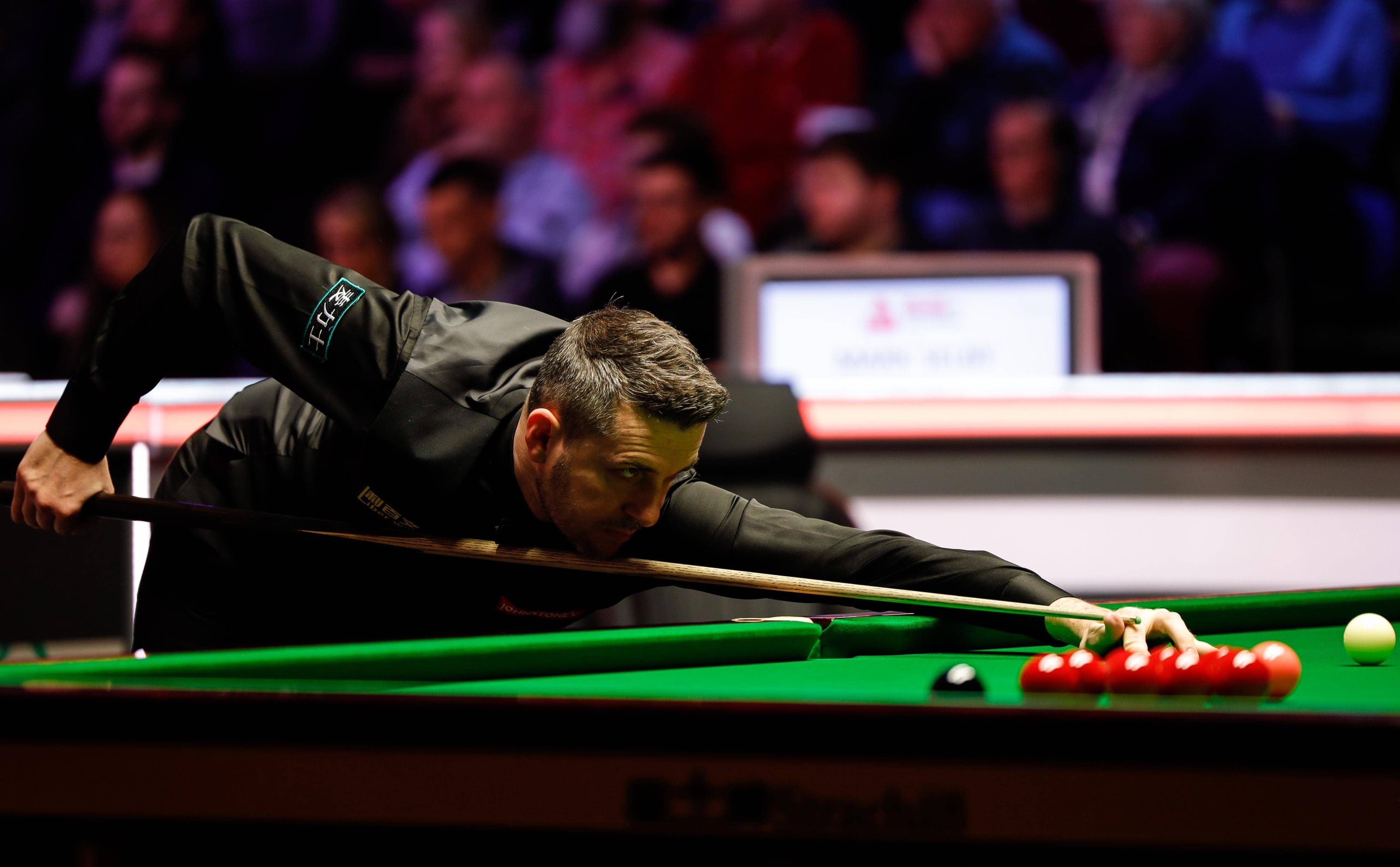 们在场上的 们在场上的