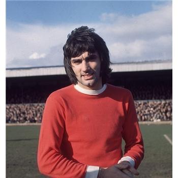 鵜鶘球星布 鵜鶘球星布